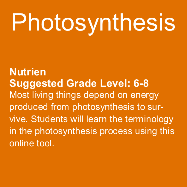 Photosynthesis