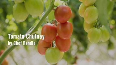 Tomato Chutney