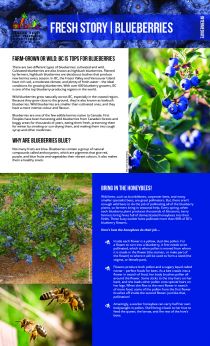 2020 Fresh Story - Blueberries - Intermediate