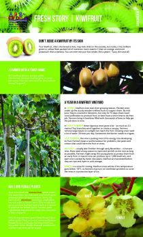 2020 Fresh Story - Kiwifruit- Intermediate