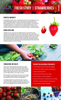 2020 Fresh Story - Strawberries - Intermediate
