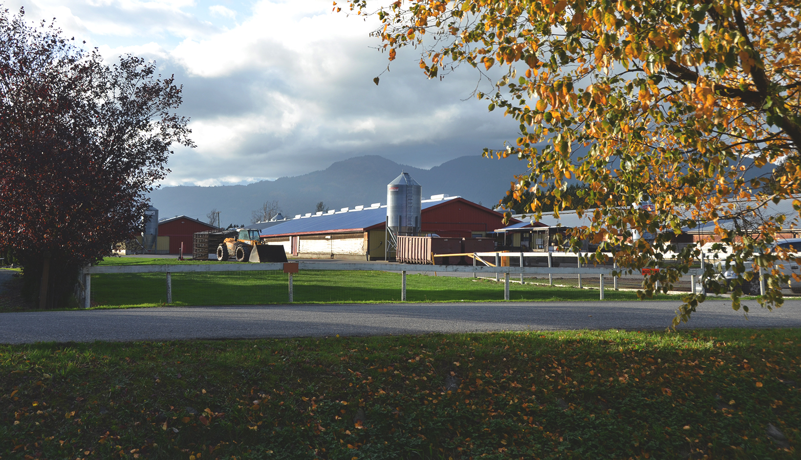 Fraser Valley Specialty Poultry