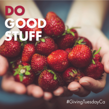 Do Good Stuff Giving Tuesday