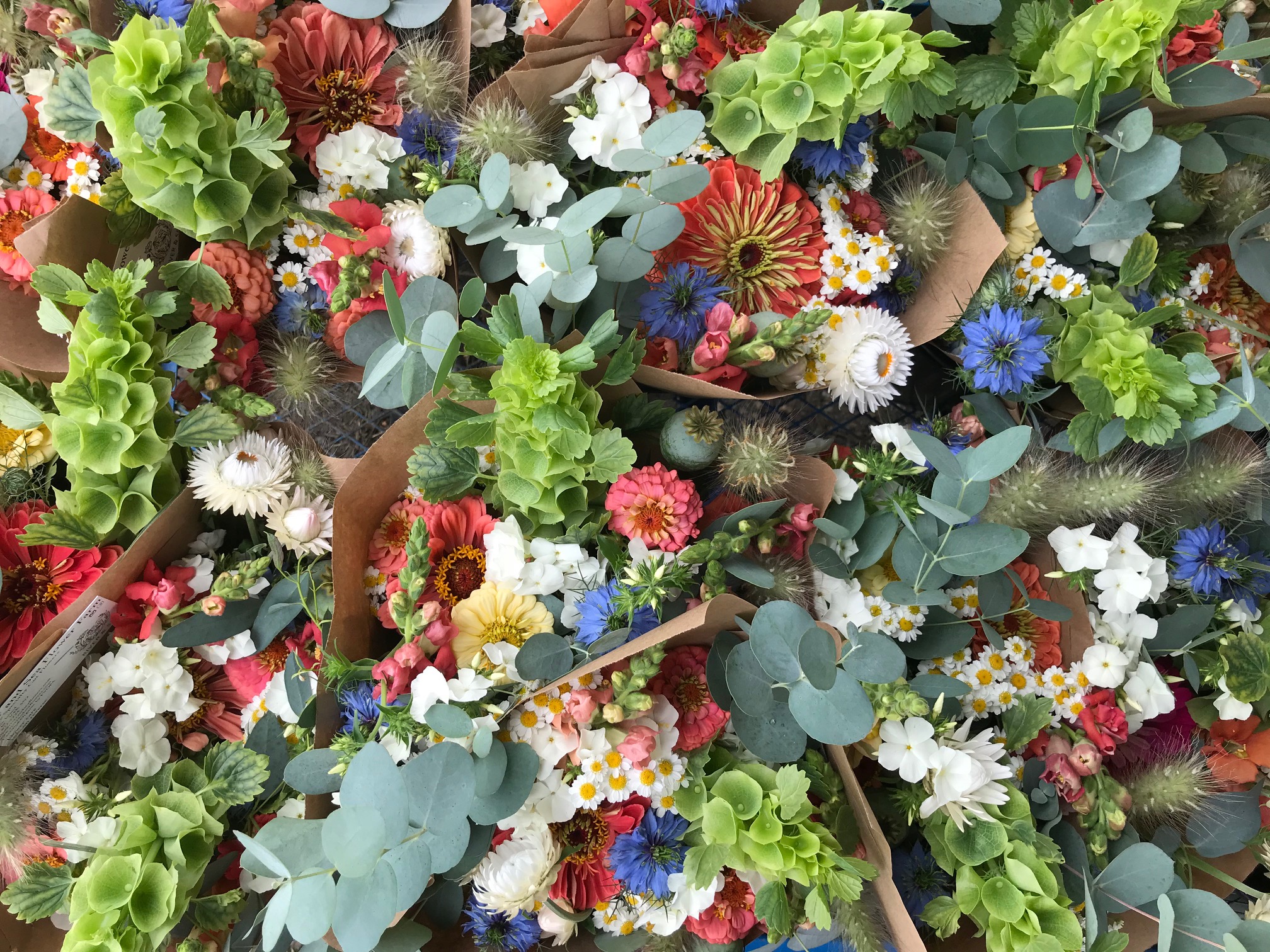 River and Sea Flowers