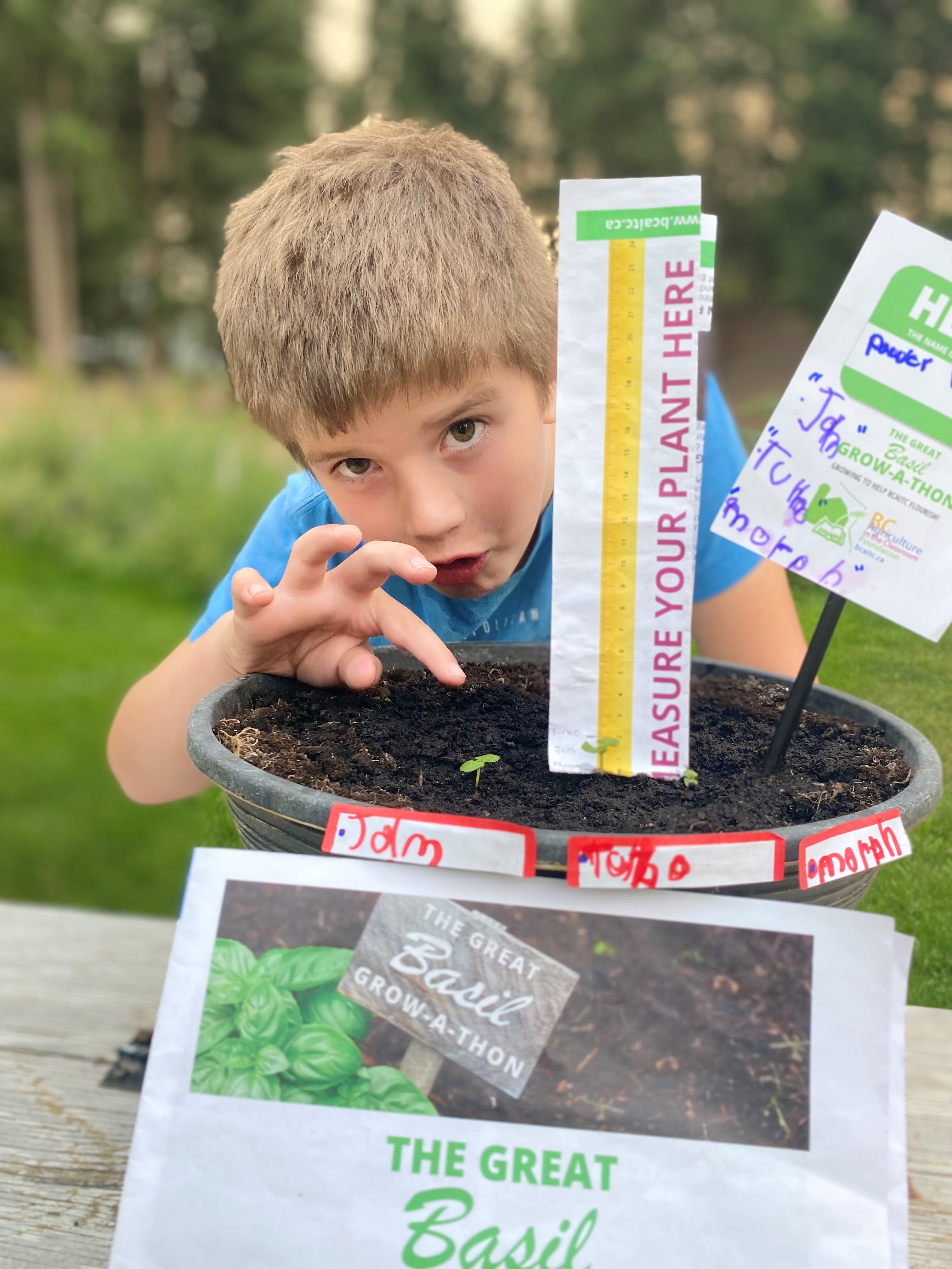 The Great Basil Grow-A-Thon