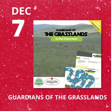 Guardians of the Grasslands