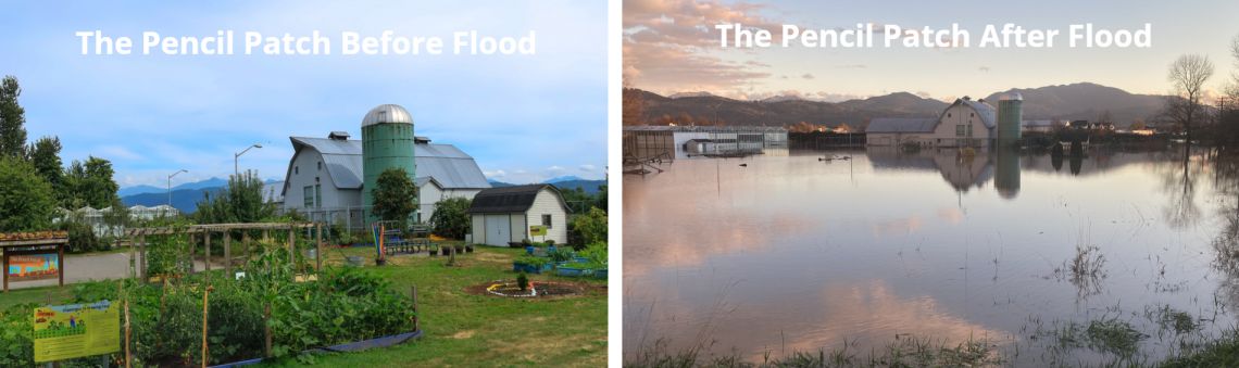 The Pencil Patch Before and After Flood