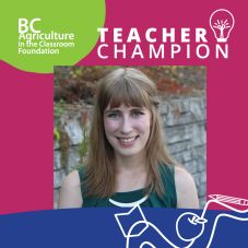 Teacher Champion Amy Stafford