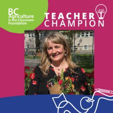 Teacher Champion Debbie Mar