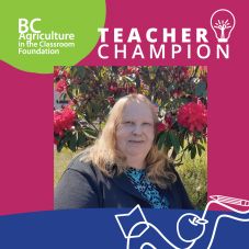 Teacher Champion Wendy Person