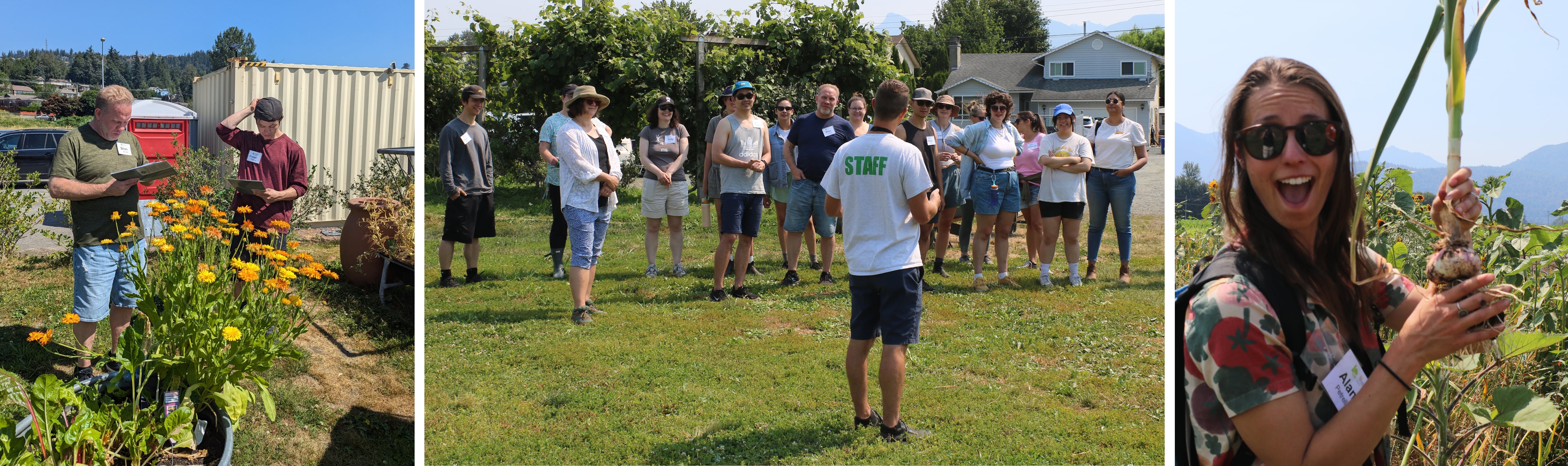 summer Institute