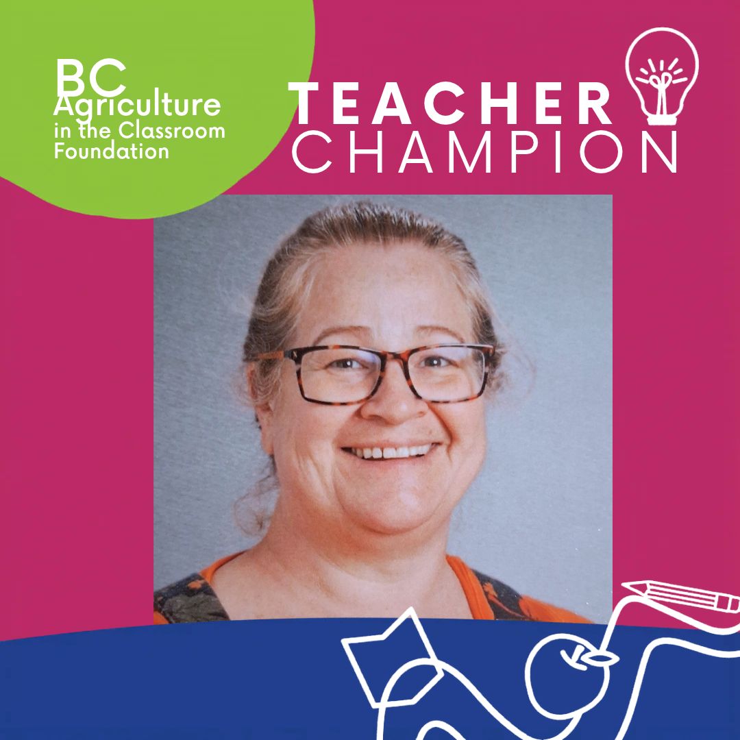 Teacher Champion 