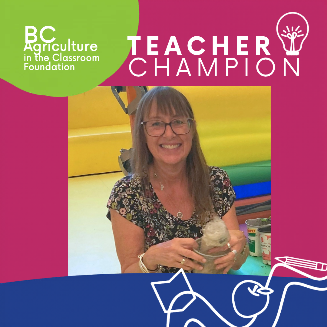 Teacher Champion 