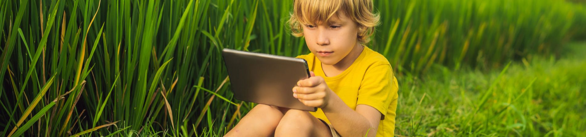 Summer Learning Schedule