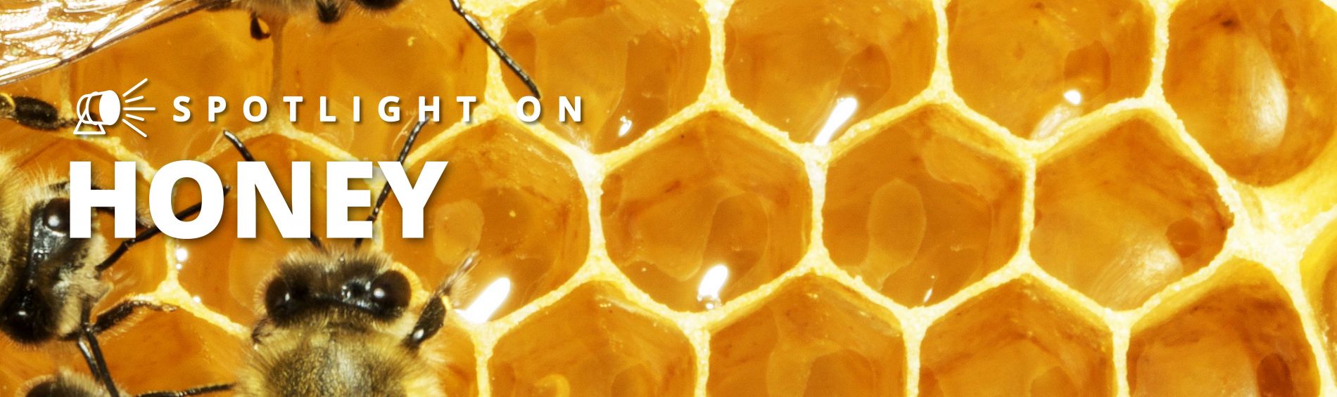 Spotlight Series on Honey