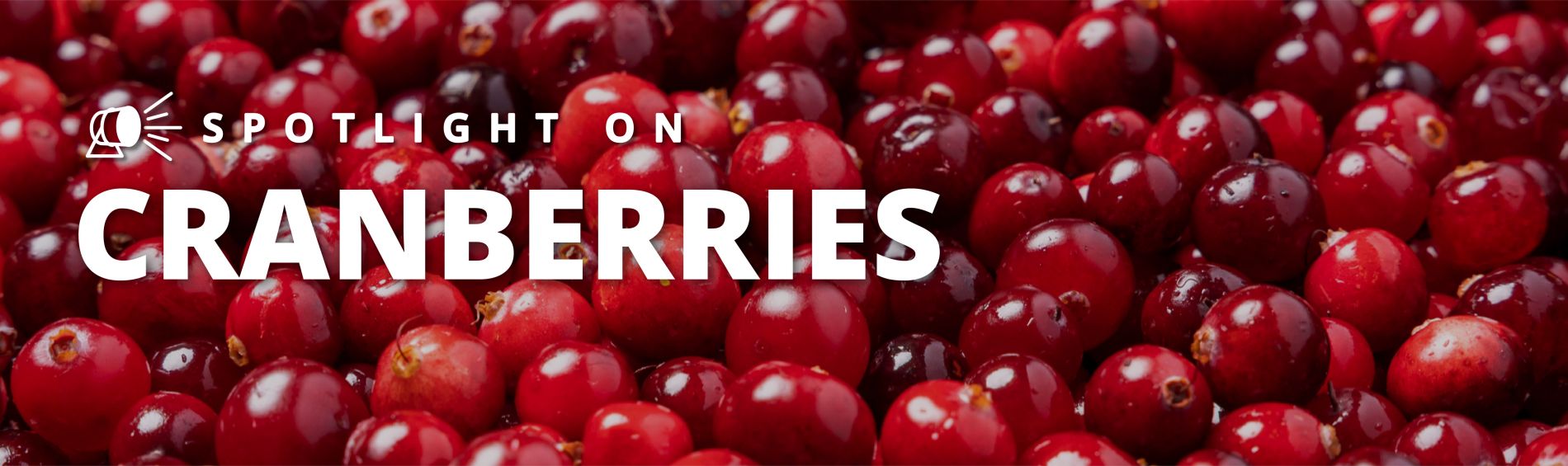 Spotlight Series on Cranberries