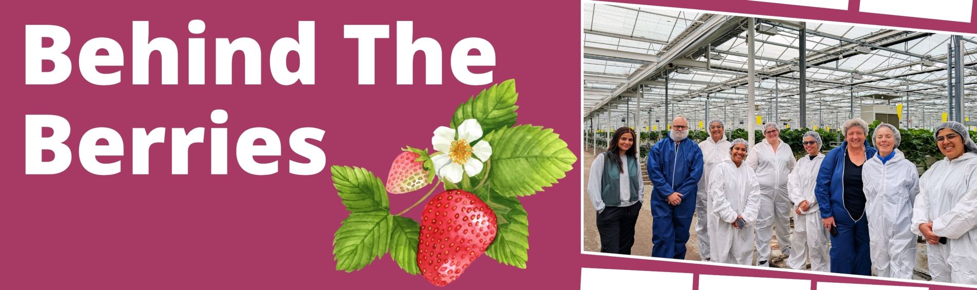 Behind The Berries: BCAITC Staff visits Fresh4Sunset Farms Ltd.