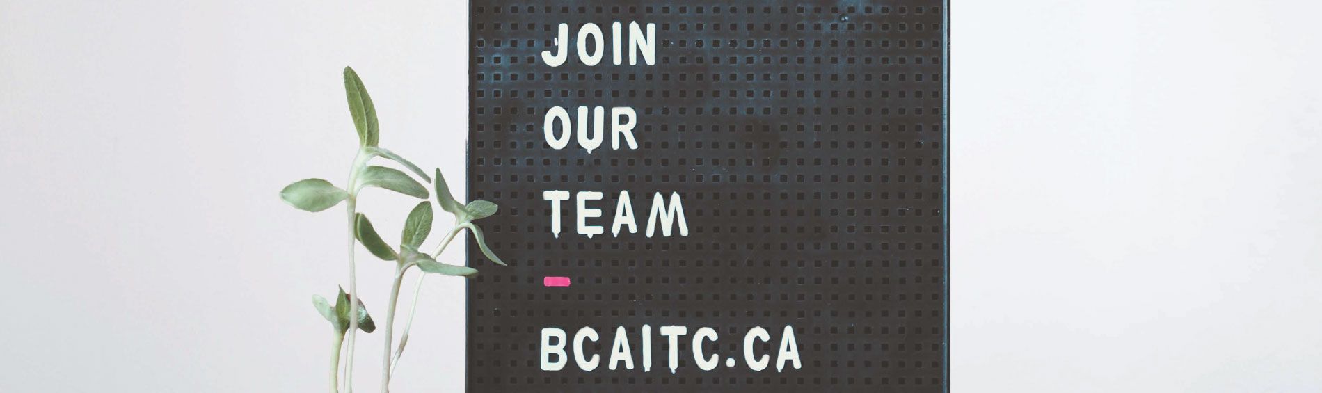 Now Hiring - Communications Coordinator and Program Director