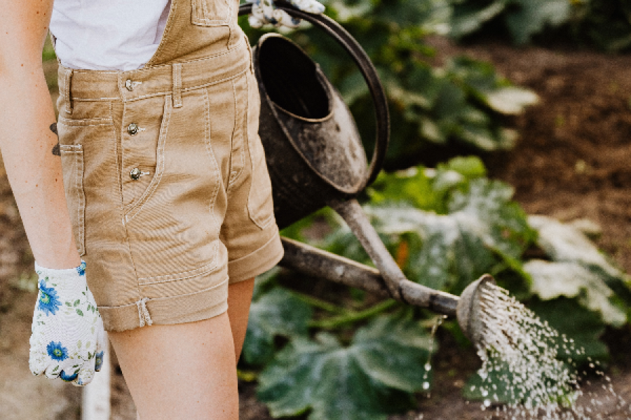 Summer Student Farm Worker Bursary Program