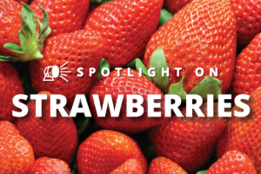 Spotlight on Strawberries - BC Strawberry Farm Tour