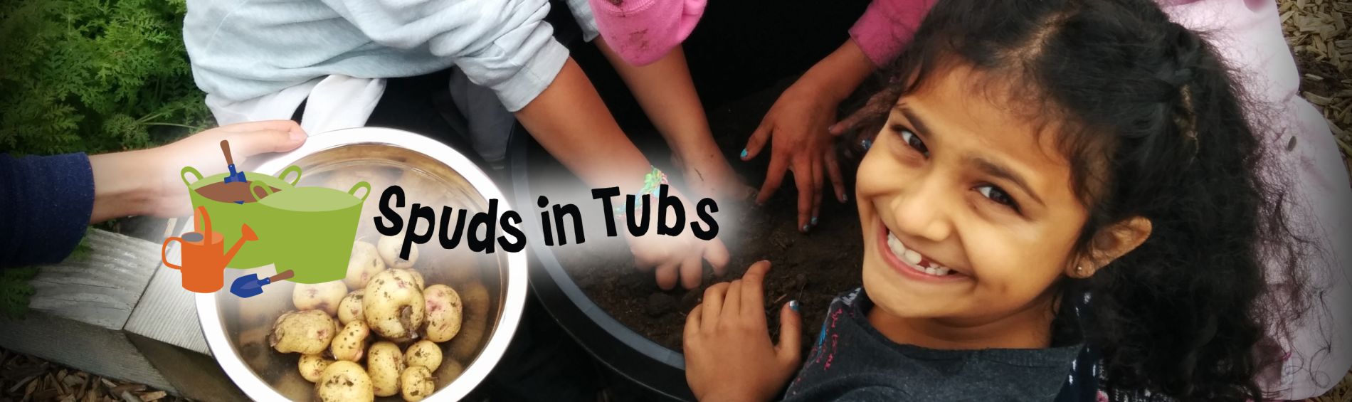 Spuds in Tubs